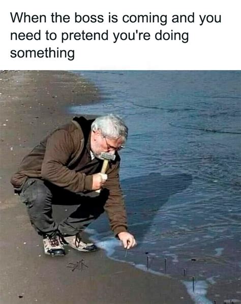50 Funny Memes That Are All Too Relatable, Shared .